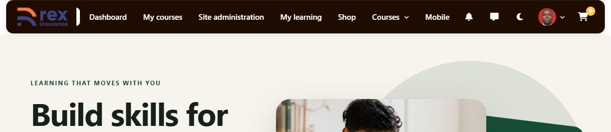 Corporate Header navigation style