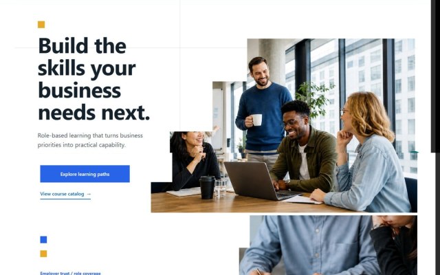 Enterprise Skills Hub template preview