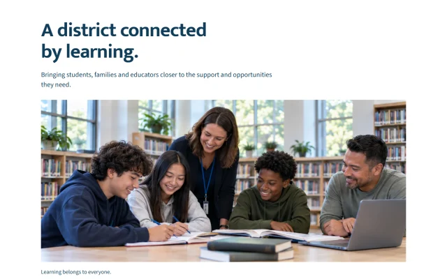 District Learning Portal — About template preview